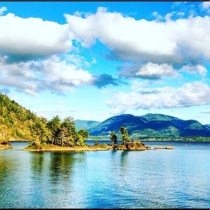 Meet your Posher, Jamison